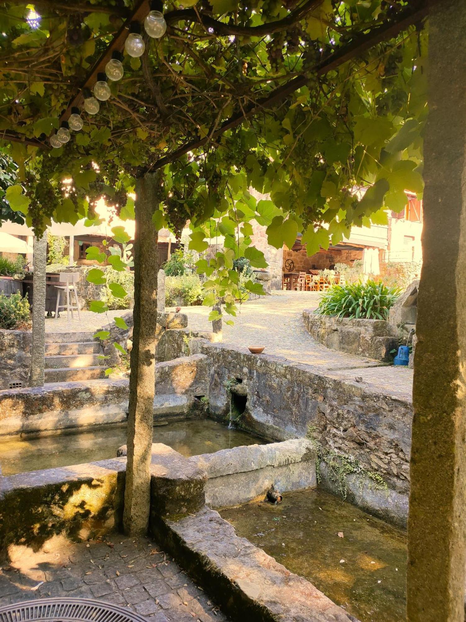 Quinta Padre Lobo Guest House Santa Maria da Feira Bagian luar foto