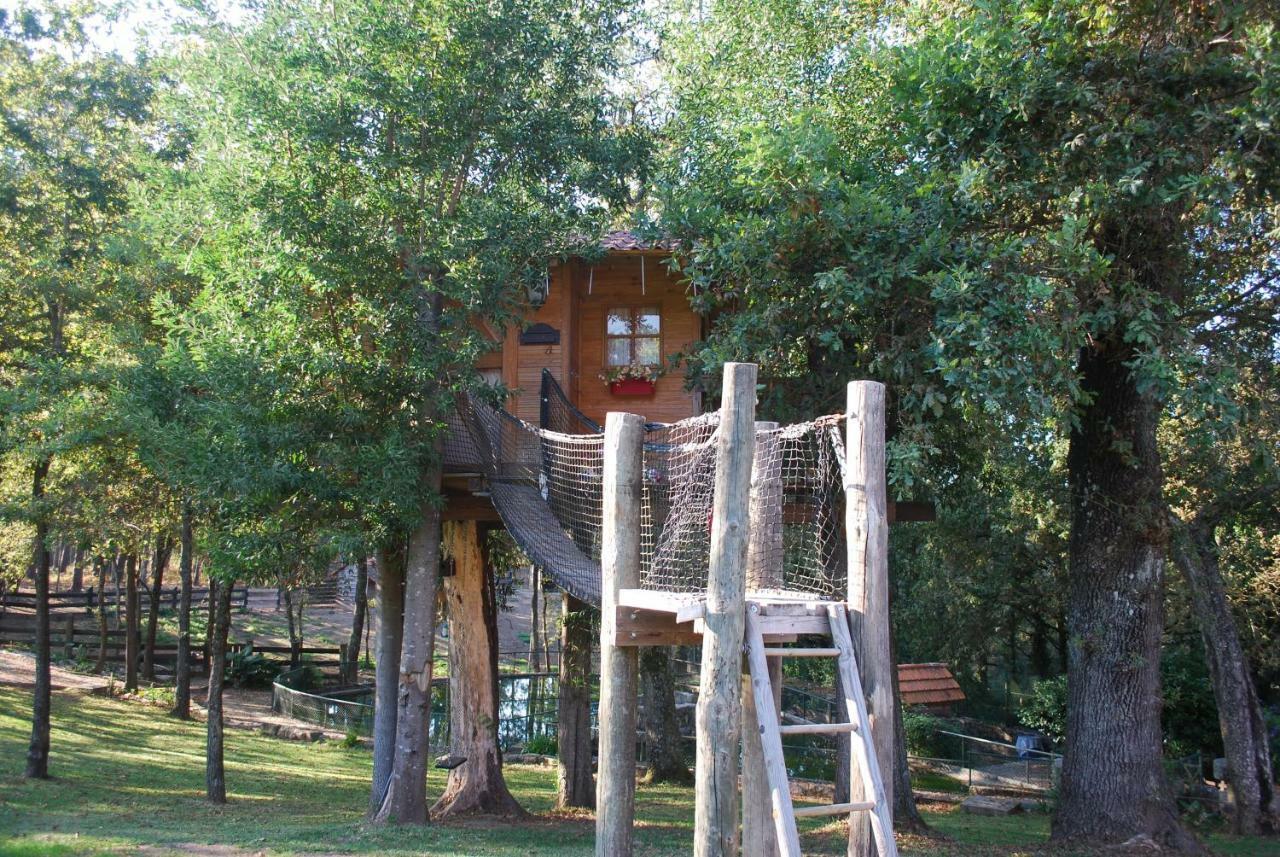 Quinta Padre Lobo Guest House Santa Maria da Feira Bagian luar foto